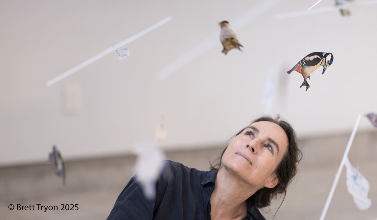 Photo of Iris by Brett Tryon