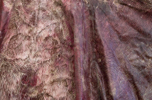Painted Dress 03 (detail)