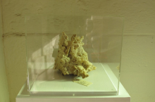 Entrance Fragile Sculpture (photo credit Beth Kapusta)