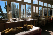 Sunroom (photo credit Beth Kapusta)