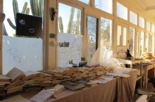 Sunroom books (photo credit Beth Kapusta)