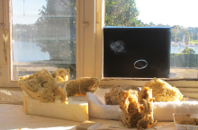 He Dreamed Overtime artefacts (photo credit Beth Kapusta)