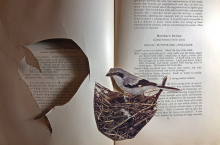 paper bird cut out from book page