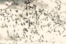 map of the world overlayed a picture of migrating birds