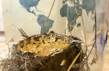 bird nest with gold leaf