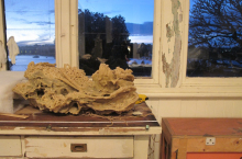 He Dreamed Overtime artefacts (photo credit Beth Kapusta)