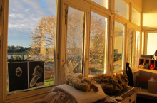 He Dreamed Overtime artefacts sunroom (photo credit Beth Kapusta)