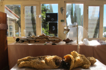He Dreamed Overtime books sunroom (photo credit Beth Kapusta)