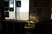 He Dreamed Overtime light boxes xrays (photo credit Beth Kapusta)