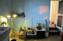 Former kitchen (photo credit Beth Kapusta)