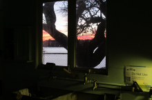 View out of kitchen window (photo credit Beth Kapusta)