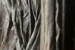 Close up of a tared coat. Toronto 2018