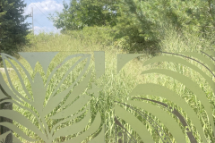 Participant Workshop’s samples (on 9 x 11“acrylic sheets) 