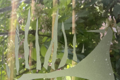 Participant Workshop’s samples (on 9 x 11“acrylic sheets) 