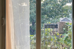 DYI Bird Safe Window - Sheer Curtain and Pastel