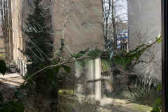 DYI Bird Safe Window - Wax Crayon