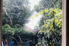 DYI Bird Safe Window - Wax Crayon