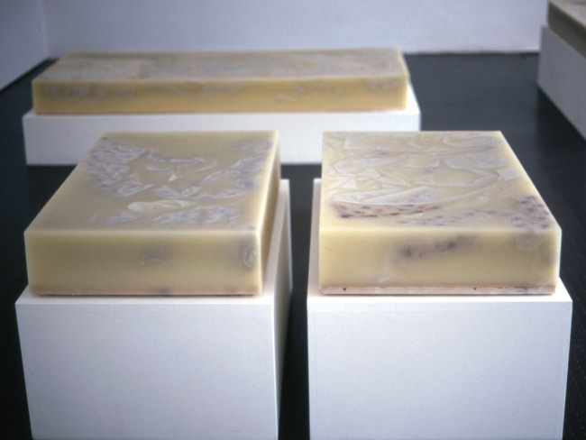 Bedding Cast Into Wax, ISART gallery 1999