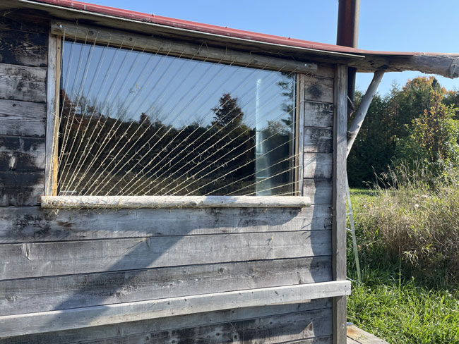 DYI Bird Window Protection