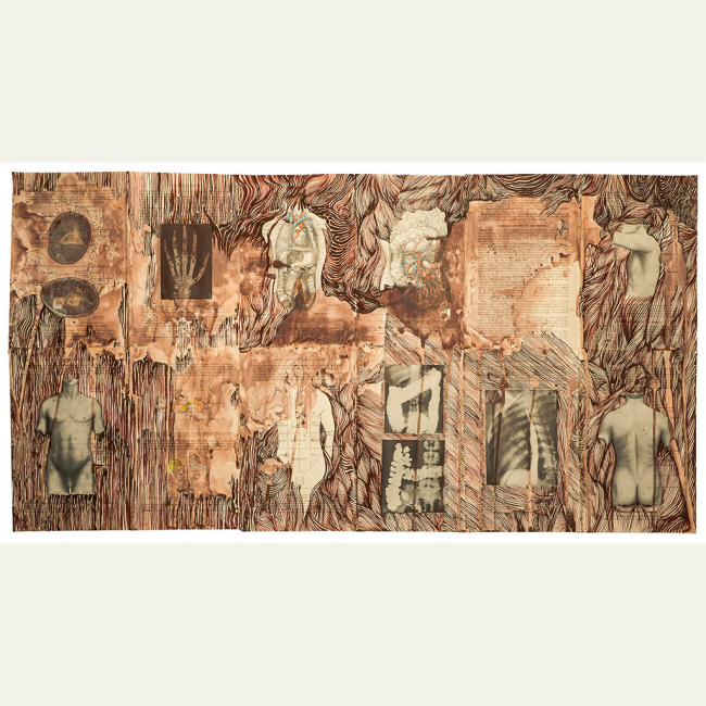 Florence Hasard Anatomical Wallpaper 02 (2018)