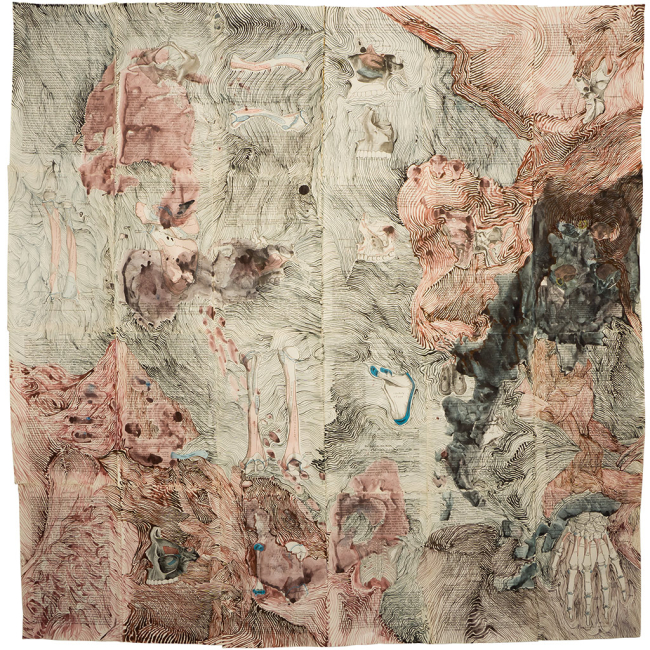Florence Hasard Anatomical Wallpaper 09 (2018)
